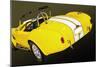 Classic Cobra II-Alan Hausenflock-Mounted Photographic Print