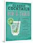 Classic Cocktail Gin and Tonic-Michael Mullan-Framed Art Print