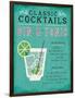 Classic Cocktail Gin and Tonic-Michael Mullan-Framed Art Print