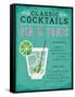 Classic Cocktail Gin and Tonic-Michael Mullan-Framed Stretched Canvas