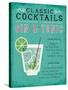 Classic Cocktail Gin and Tonic-Michael Mullan-Stretched Canvas