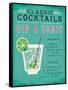 Classic Cocktail Gin and Tonic-Michael Mullan-Framed Stretched Canvas