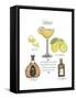 Classic Cocktail - Sidecar-Naomi McCavitt-Framed Stretched Canvas