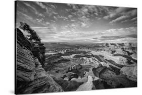 Classic Dead Horse Point in Black and White, Moab Utah-null-Stretched Canvas
