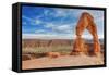 Classic Delicate Arch-Vincent James-Framed Stretched Canvas