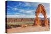 Classic Delicate Arch-Vincent James-Stretched Canvas