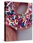 Classic Doughnut I-Monika Burkhart-Stretched Canvas