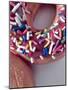 Classic Doughnut I-Monika Burkhart-Mounted Photographic Print