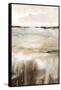 Classic Field-Carol Robinson-Framed Stretched Canvas