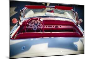 Classic Ford Thunderbird Top Down-George Oze-Mounted Photographic Print