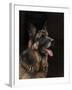 Classic German Shepherd-Jai Johnson-Framed Premium Giclee Print