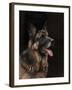 Classic German Shepherd-Jai Johnson-Framed Premium Giclee Print