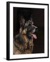 Classic German Shepherd-Jai Johnson-Framed Premium Giclee Print