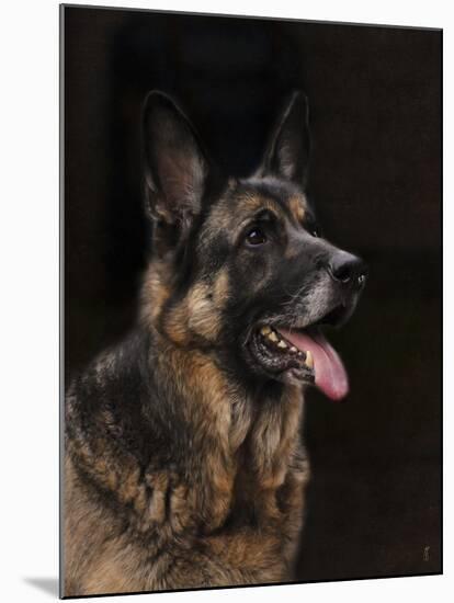 Classic German Shepherd-Jai Johnson-Mounted Premium Giclee Print