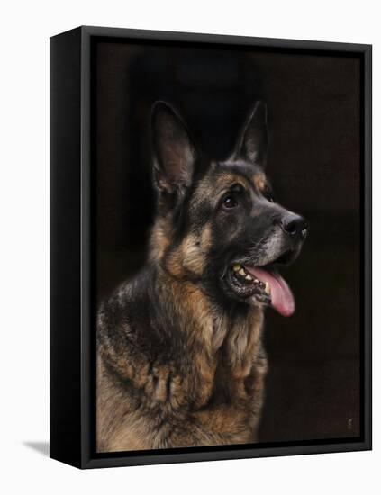 Classic German Shepherd-Jai Johnson-Framed Stretched Canvas