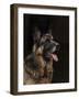 Classic German Shepherd-Jai Johnson-Framed Giclee Print