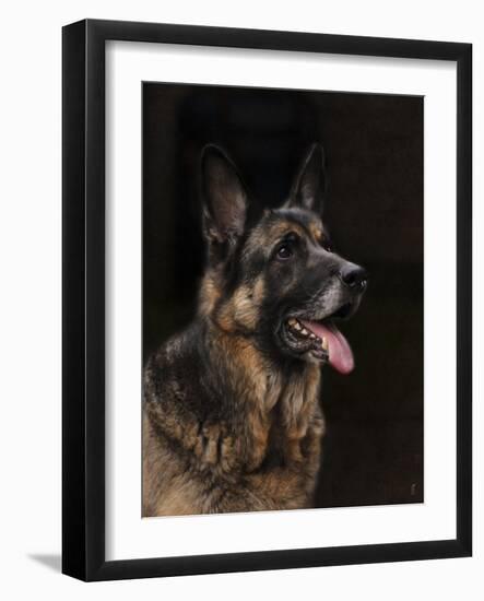 Classic German Shepherd-Jai Johnson-Framed Giclee Print