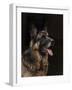 Classic German Shepherd-Jai Johnson-Framed Giclee Print