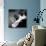 Classic Guitar Detail V-Richard James-Mounted Giclee Print displayed on a wall