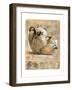 Classic Jar's-Joadoor-Framed Art Print