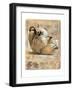 Classic Jar's-Joadoor-Framed Art Print