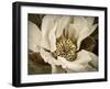 Classic Magnolia II-Rachel Perry-Framed Art Print