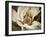 Classic Magnolia II-Rachel Perry-Framed Art Print