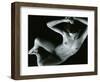 Classic Nude, 1973-Brett Weston-Framed Photographic Print