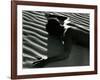 Classic Nude and Dune, 1981-Brett Weston-Framed Photographic Print