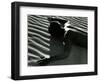 Classic Nude and Dune, 1981-Brett Weston-Framed Photographic Print