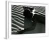 Classic Nude and Dune, 1981-Brett Weston-Framed Photographic Print