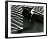 Classic Nude and Dune, 1981-Brett Weston-Framed Photographic Print