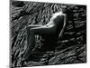 Classic Nude and Lava, Hawaii, c. 1980-Brett Weston-Mounted Photographic Print