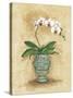 Classic Orchid II-Peggy Abrams-Stretched Canvas