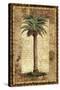 Classic Palm I-Kathleen Denis-Stretched Canvas