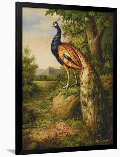 Classic Peacock-null-Framed Art Print