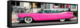 Classic Pink Cars of South Beach - Miami - Florida-Philippe Hugonnard-Framed Stretched Canvas