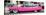 Classic Pink Cars of South Beach - Miami - Florida-Philippe Hugonnard-Stretched Canvas