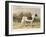 Classic Pointer Standing in the Field-null-Framed Art Print