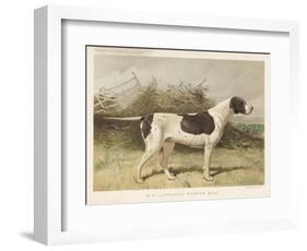 Classic Pointer Standing in the Field-null-Framed Art Print