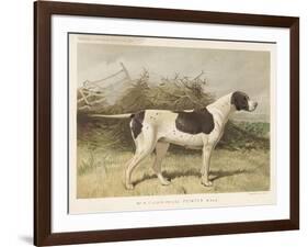 Classic Pointer Standing in the Field-null-Framed Art Print