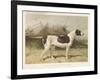 Classic Pointer Standing in the Field-null-Framed Art Print