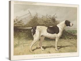 Classic Pointer Standing in the Field-null-Stretched Canvas