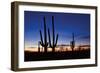 Classic Saguaro Sunset II-Larry Malvin-Framed Photographic Print