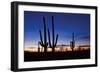 Classic Saguaro Sunset II-Larry Malvin-Framed Photographic Print