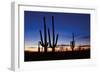 Classic Saguaro Sunset II-Larry Malvin-Framed Photographic Print