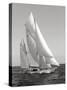 Classic sailboat-null-Stretched Canvas