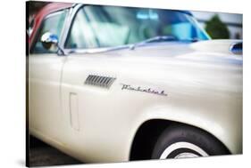 Classic Thunderbird Fender Detail-George Oze-Stretched Canvas