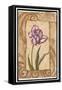 Classic Tulip I-Jillian Jeffrey-Framed Stretched Canvas