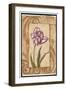 Classic Tulip I-Jillian Jeffrey-Framed Art Print